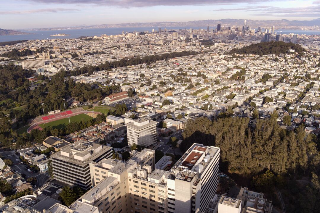 Parnassus Campus 