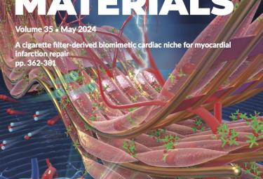 β-catenin mRNA encapsulated in SM-102 lipid nanoparticles enhances bone formation in a murine tibia fracture repair model