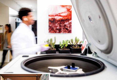 2019 Research Report