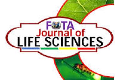 A timeseries analysis of the fracture callus extracellular matrix proteome during bone fracture healing