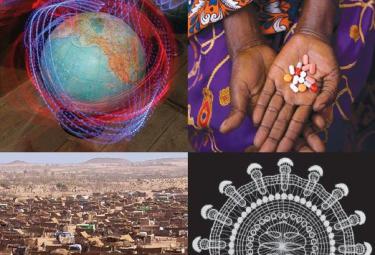 Biomarker to Endochondral Phase of Fracture Repair Peaks Earlier than Traditional Markers and Detects Healing Differences in Long Bones