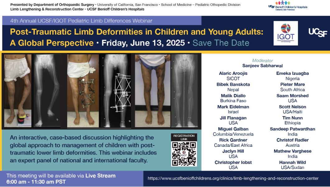 2025 limb